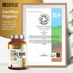 Organic Lion's Mane Capsules With Ginkgo Biloba and Black Pepper